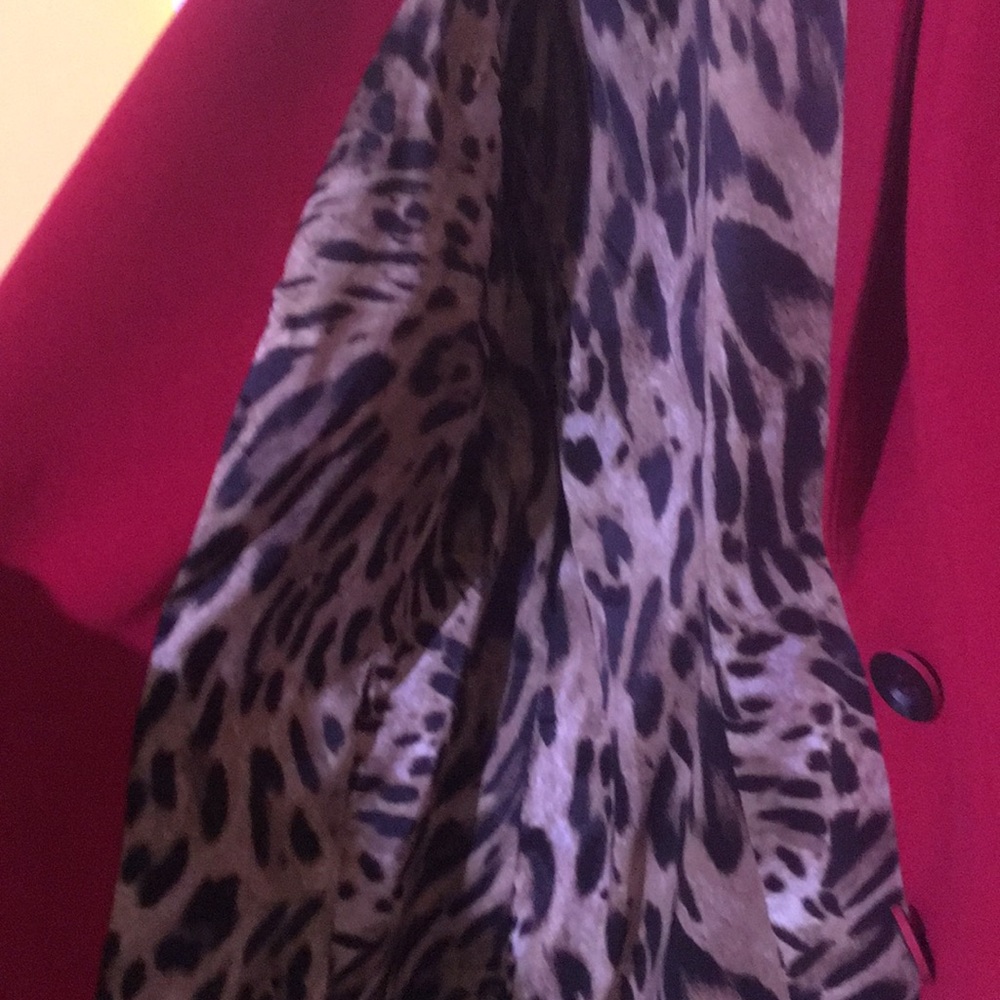 Blazer - Picture 5 of 5